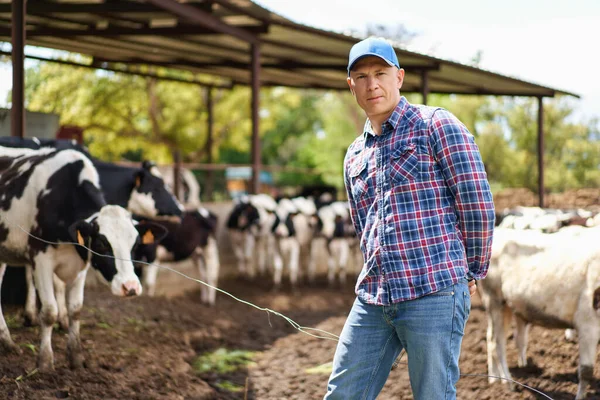 Porträtt Man Boskap Rancher — Stockfoto