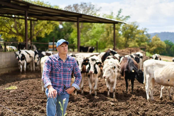 Portrait Man Livestock Ranches — Stock Photo, Image