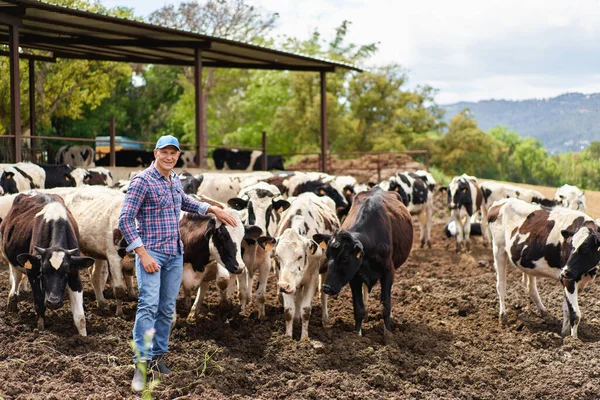 Homme Cow Boy Ferme Vache Ranch Photo De Stock