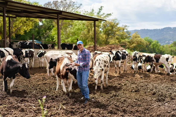 Portret Van Een Man Vee Ranches Stockafbeelding