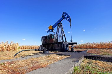 petrol kuyusu Mısır alanında