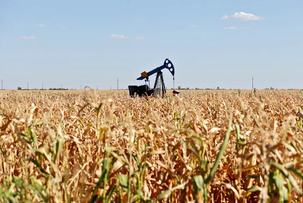Pozo de petróleo y campo de maíz — Foto de Stock