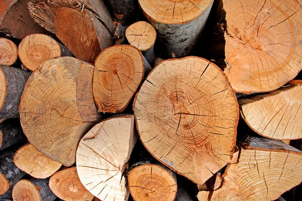 Gehakte hout Rechtenvrije Stockfoto's