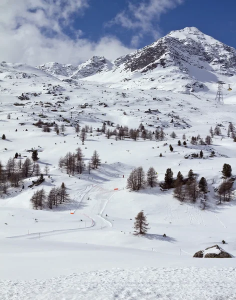 Skiing slope Diavolezza — Stock Photo, Image