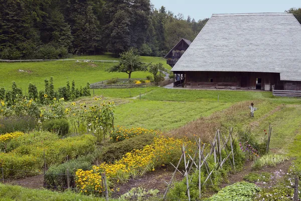 Bauernhaus · 冯 · 马迪斯斯维尔 — 图库照片