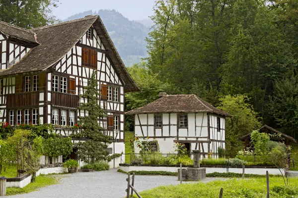 La casa di viticoltore da Richterswil — Foto Stock