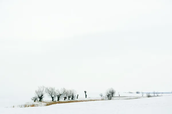 Wintertime — Stock Photo, Image