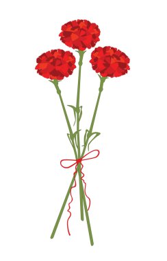 karanfil çiçek