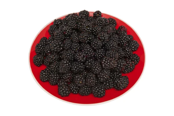 Blackberries — Stock Photo, Image