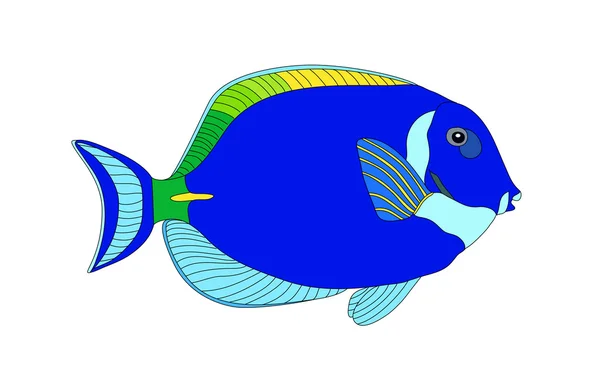 Illustration d'un poisson tropical vecteur — Image vectorielle