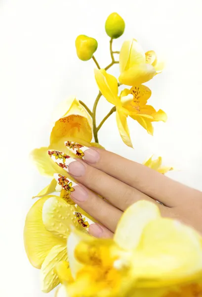 Manicure francês longo . — Fotografia de Stock