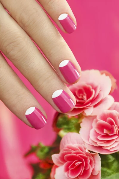 Hermosas manicuras . — Foto de Stock