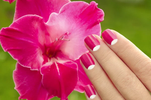 Mooie roze manicure. — Stockfoto