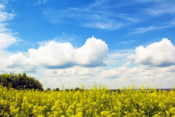 Clouds over the field. — Stock Photo, Image