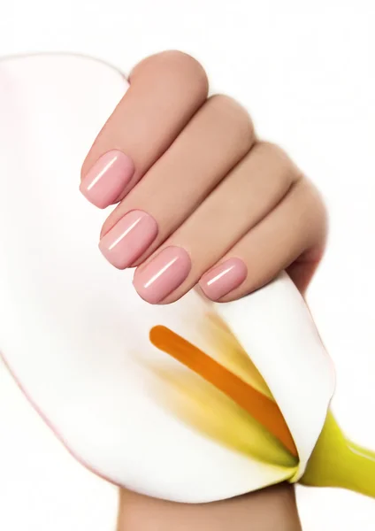 Manicure with gel coating . — Stock Photo, Image