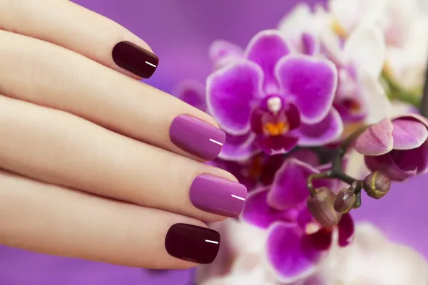 Tweekleurige mode nagels. — Stockfoto