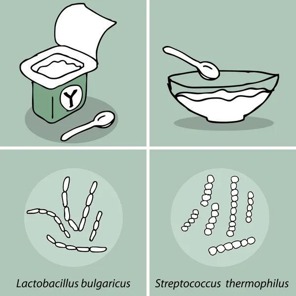 Yogur. — Archivo Imágenes Vectoriales