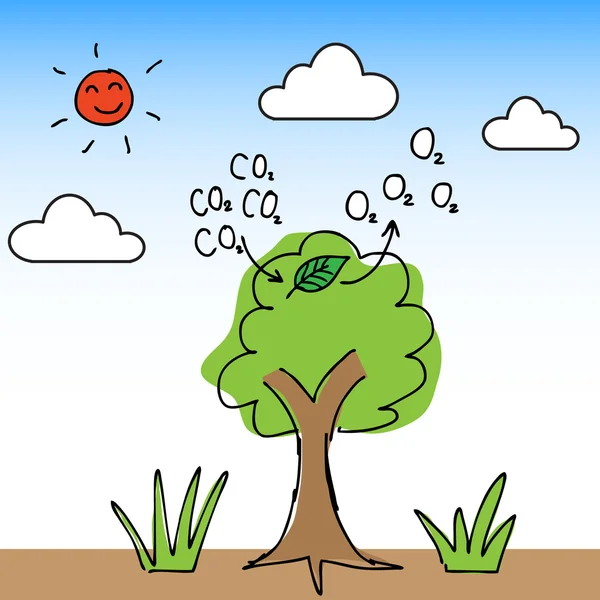 Sauerstoffbaum — Stockvektor