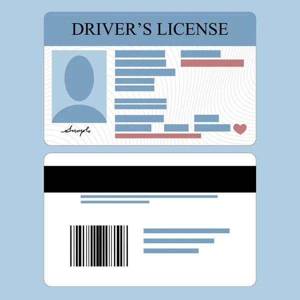 Licencia de conducir — Vector de stock