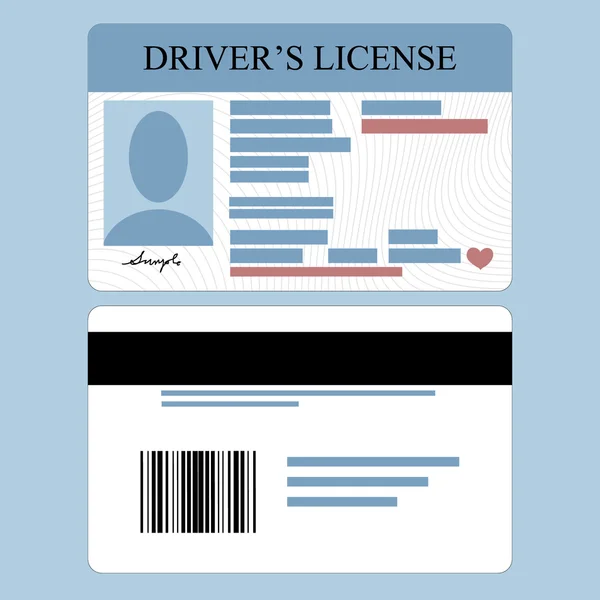 운전자 면허증 — 스톡 벡터