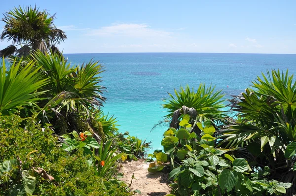 Playa en Tulum Ruinas Mayas en México —  Fotos de Stock