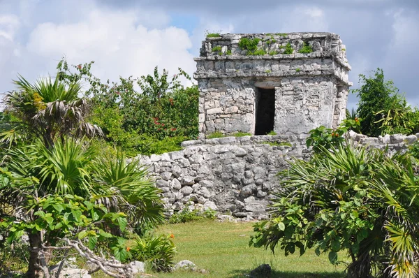 Tulum Maya ruine — Fotografie, imagine de stoc