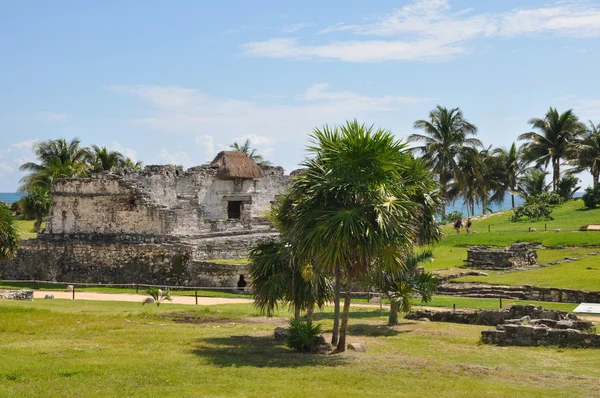 Руины тулум-майя — стоковое фото