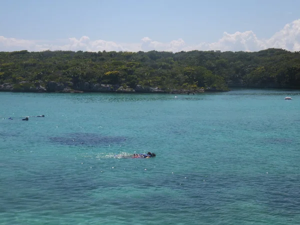 Parque Xel-Ha en México —  Fotos de Stock