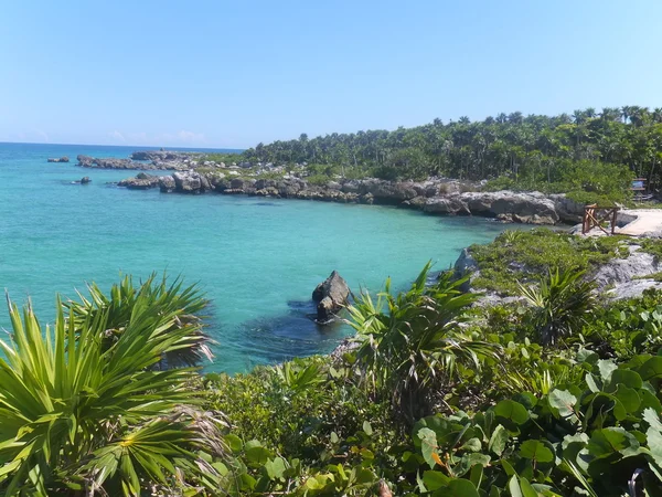 Parc Xel-Ha au Mexique — Photo