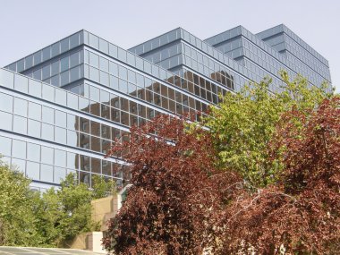 Yeni Belediye Binası ya da Belediye Binası Calgary, Kanada