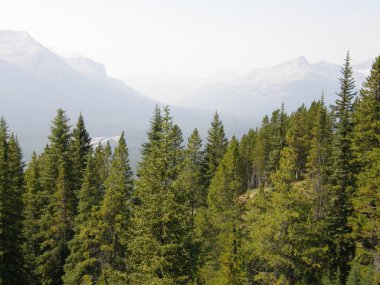 Banff Ulusal Parkı Alberta, Kanada