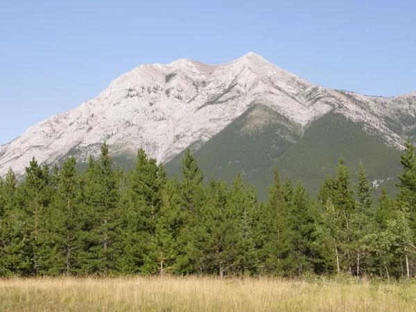 Kananaskis land in alberta, kanada — Stockfoto