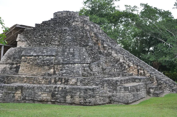 Ruinas Mayas Chacchoben — Foto de Stock