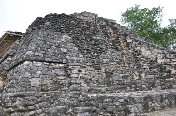 Ruinas Mayas Chacchoben — Foto de Stock