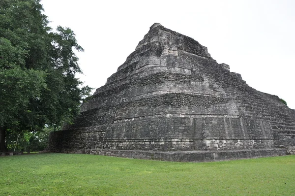 Chacchoben Μάγια ερείπια — Φωτογραφία Αρχείου