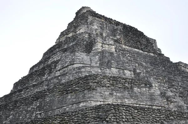 Ruinas Mayas Chacchoben — Foto de Stock