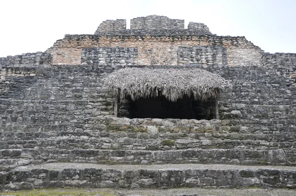 Ruinas mayas de Chacchoben — Stok fotoğraf