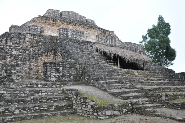Ruinas Mayas Chacchoben —  Fotos de Stock