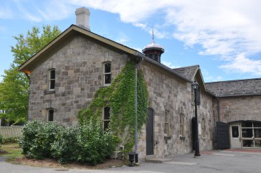 dundurn kale Hamilton, ontario