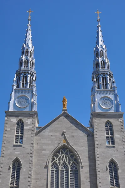 Notre Dame Basilica in Ottawa — Stock Photo, Image