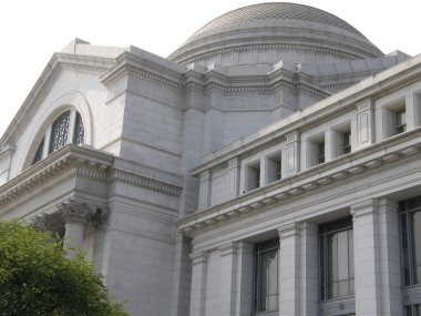 Smithsonian Ulusal Doğa Tarihi Müzesi'washington dc