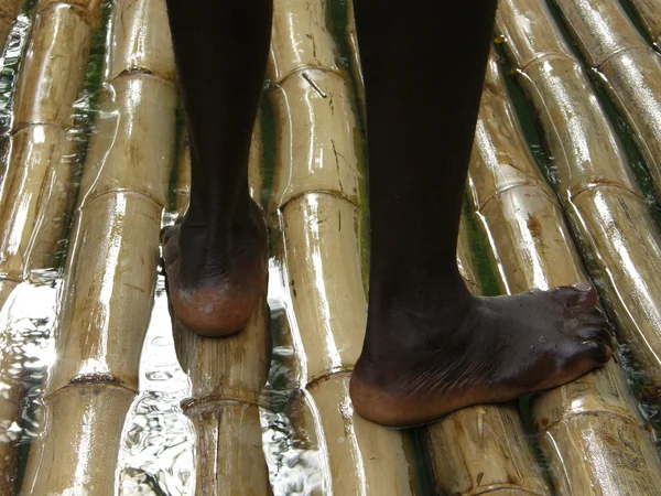 Bamboo Rafting on the Martha Brae River in Jamaica — Stock Photo, Image