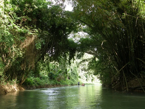 Martha brae rivier in jamaica — Stockfoto