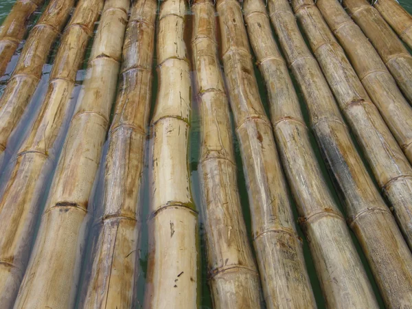 Бамбуковый рафтинг на реке Марта Брей на Ямайке — стоковое фото
