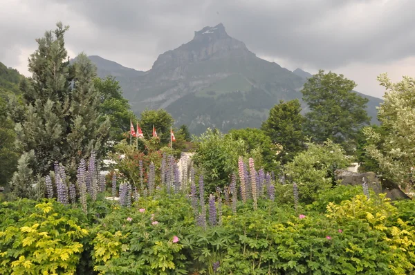 Engelberg in Switzerland — Stock Photo, Image