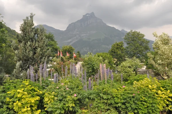 Engelberg in Switzerland — Stock Photo, Image