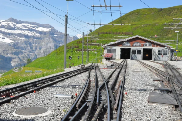 Поезд в Юнгфрауйох в Швейцарии — стоковое фото