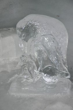 jungfraujoch, İsviçre'de Buz Sarayı