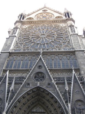 Paris 'teki Notre Dame Katedrali