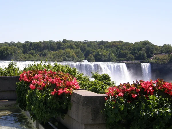 Niagarafallen — Stockfoto